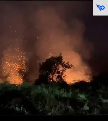 Kebakaran terbaru berada di lokasi yang berbeda dari titik kebakaran sebelumnya, dekat dengan lahan penyanggah TN Zamrud Siak